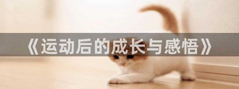 《运动后的成长与感悟》