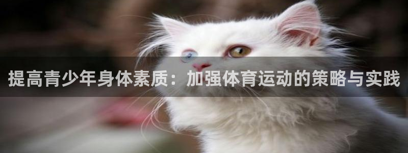提高青少年身体素质：加强体育运动的策略与实践