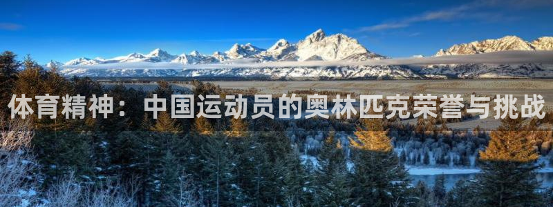 体育精神：中国运动员的奥林匹克荣誉与挑战