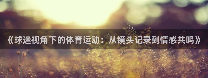 《球迷视角下的体育运动：从镜头记录到情感共鸣》